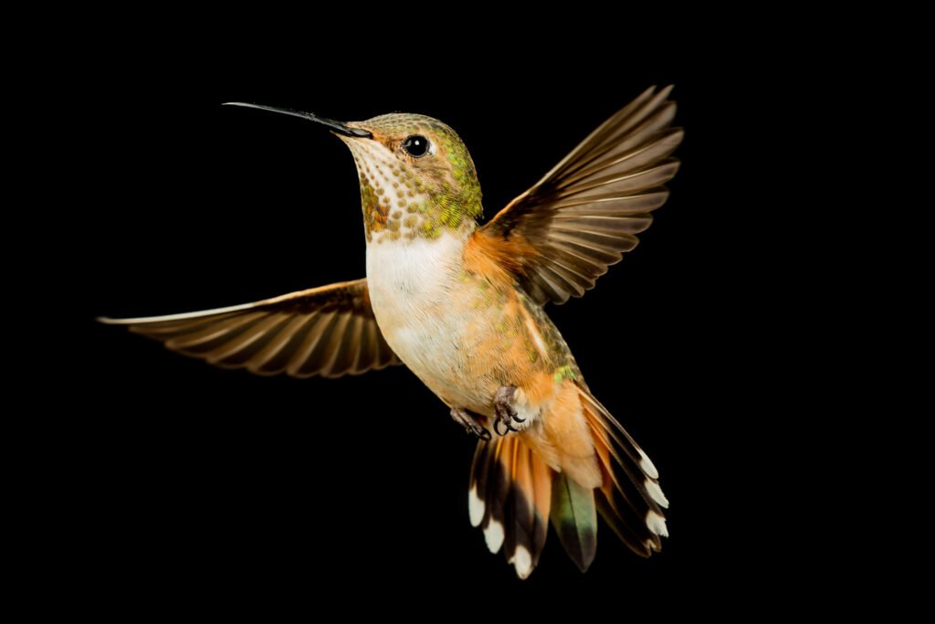 Going My Own Way-1.jpg