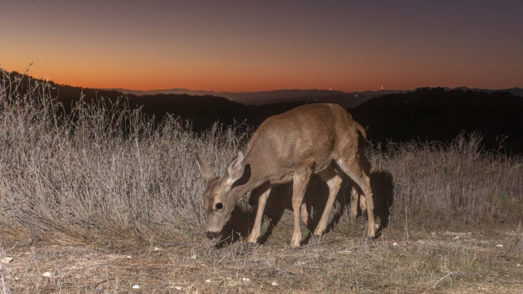 WCC OctNov 25-22.jpg