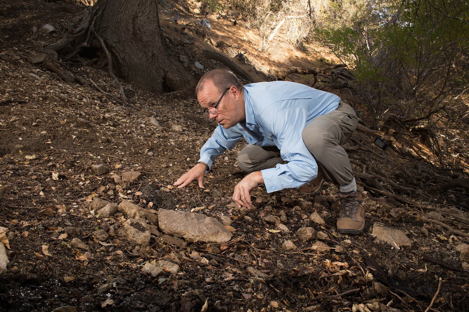 Roy Dunn - camera trapping