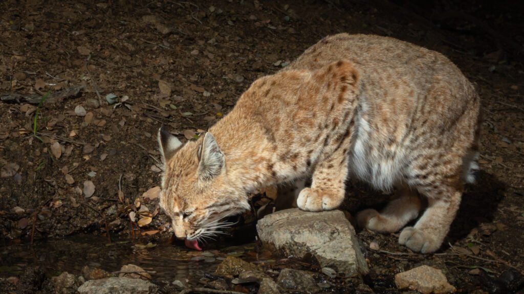 PR Spring MArch 2019-40.jpg