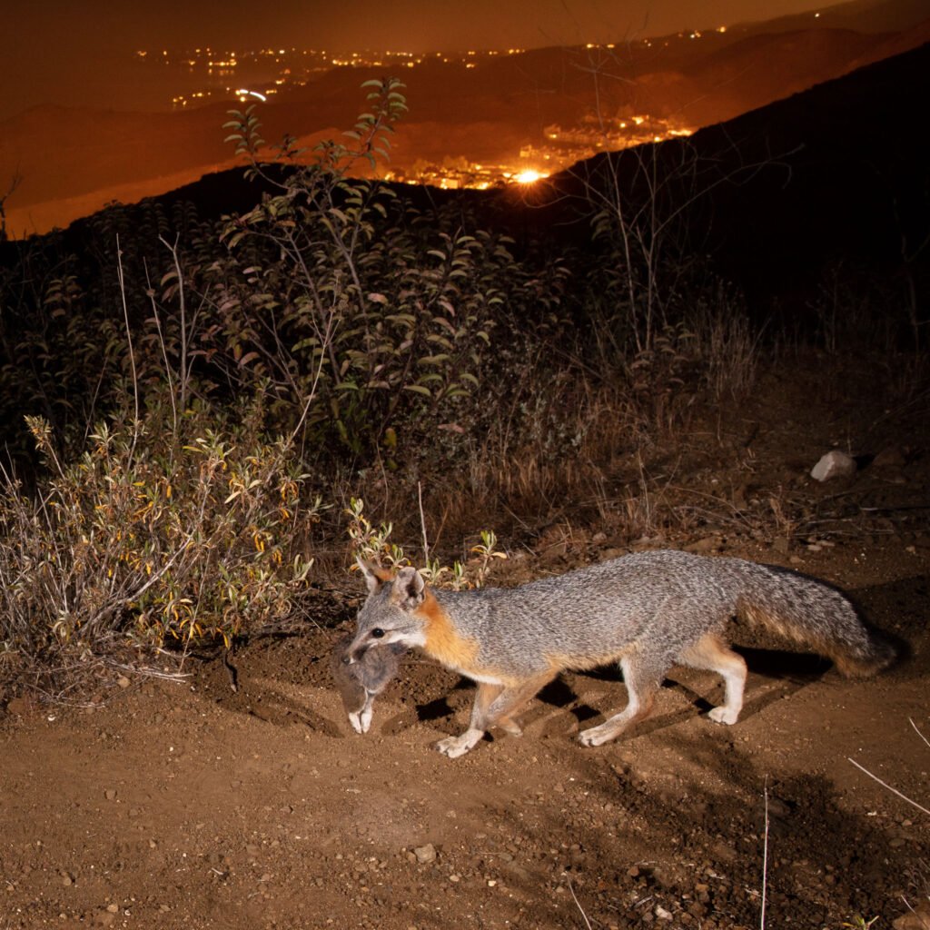 Malibu May 2021 019.jpg