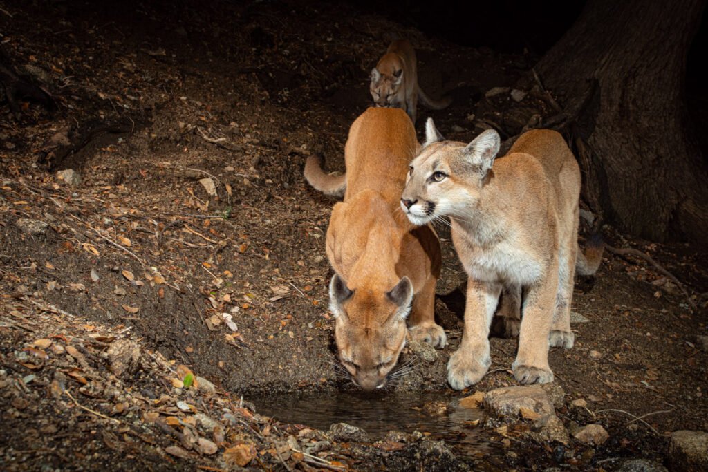Mom (drinking) and the two kids!