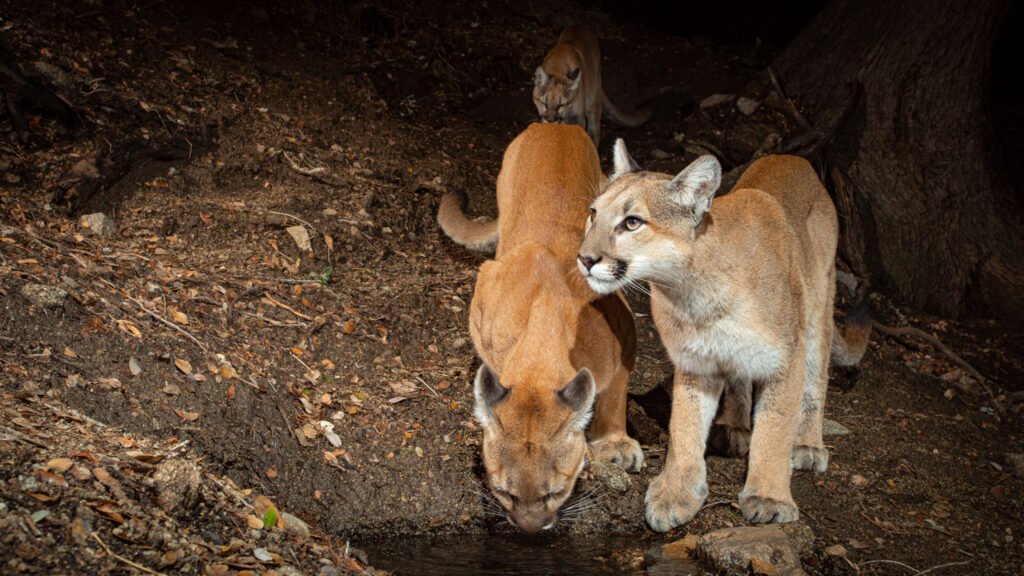Mom (drinking) and the two kids!