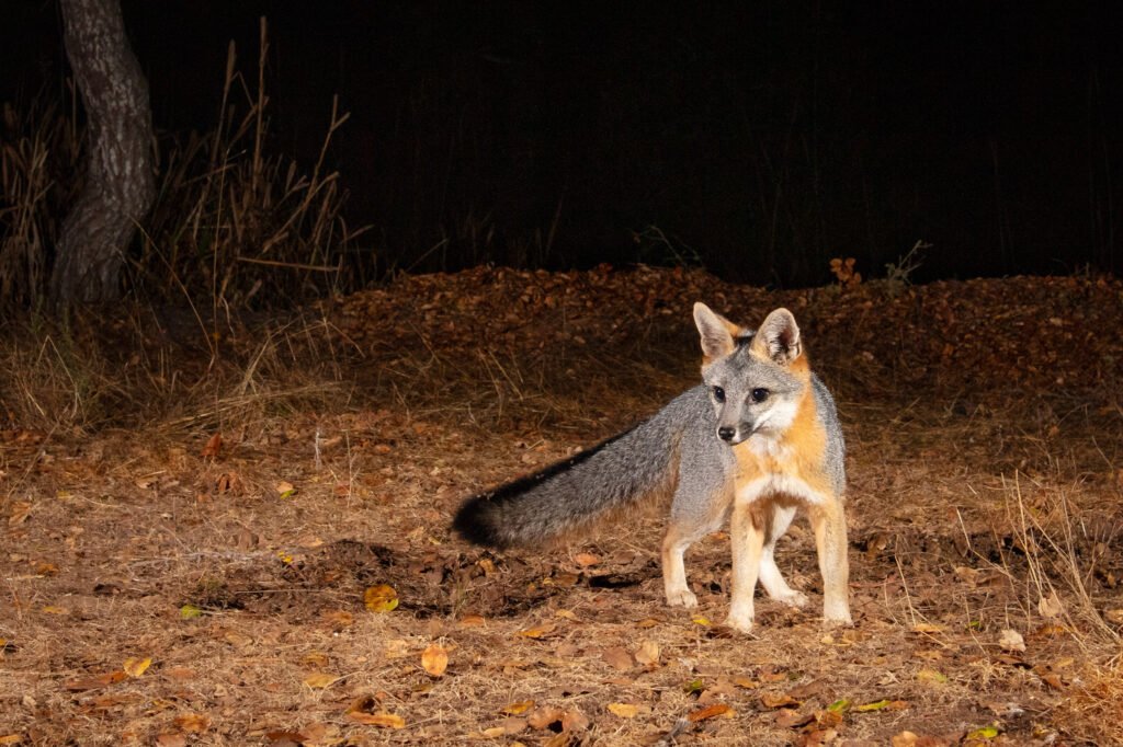 MB Early October 2024-48.jpg