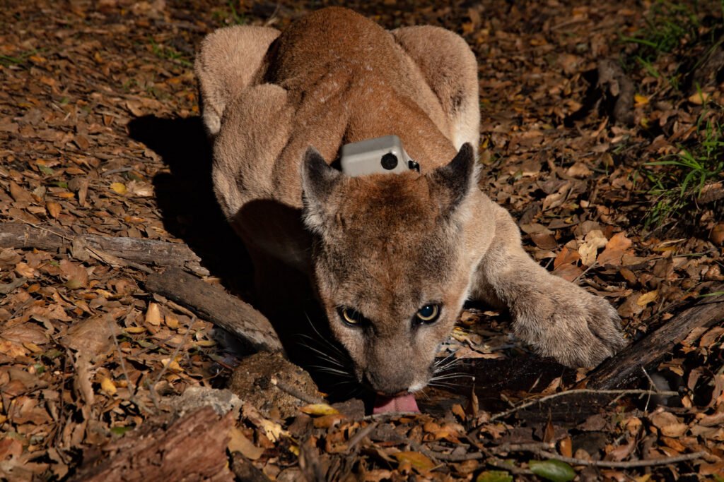 P22 Mar 19-20  2021 016.jpg