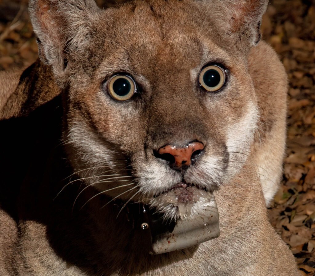 P22 Mar 19-20  2021 027-Edit-2-Enhanced.jpg