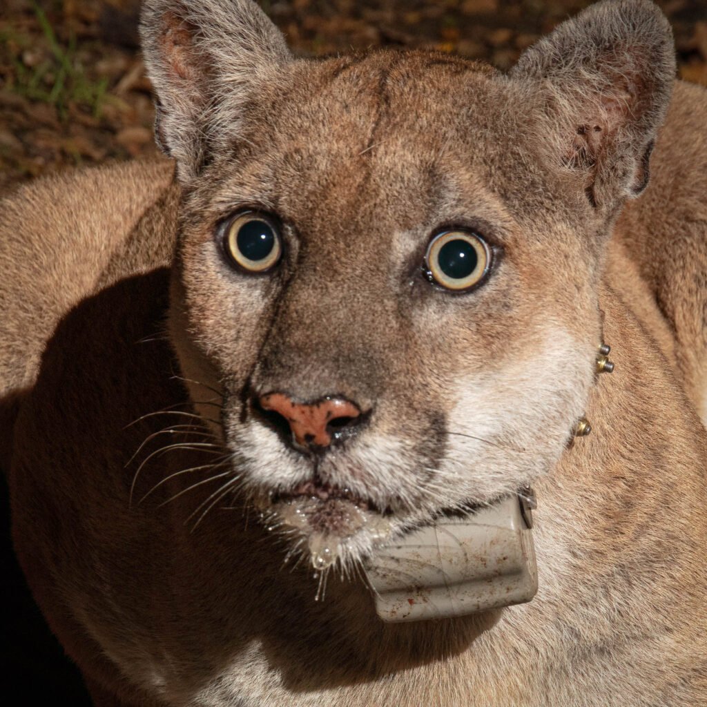 P22 Mar 19-20  2021 029-Edit-2.jpg