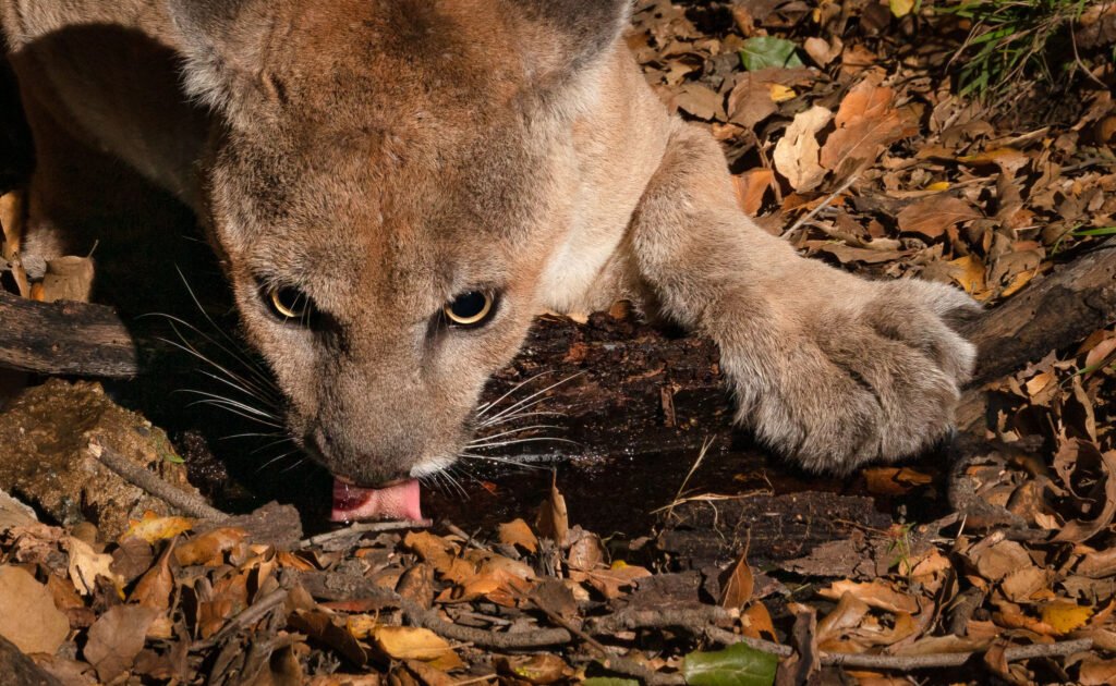 P22 Mar 20-21  2021 023-Edit.jpg