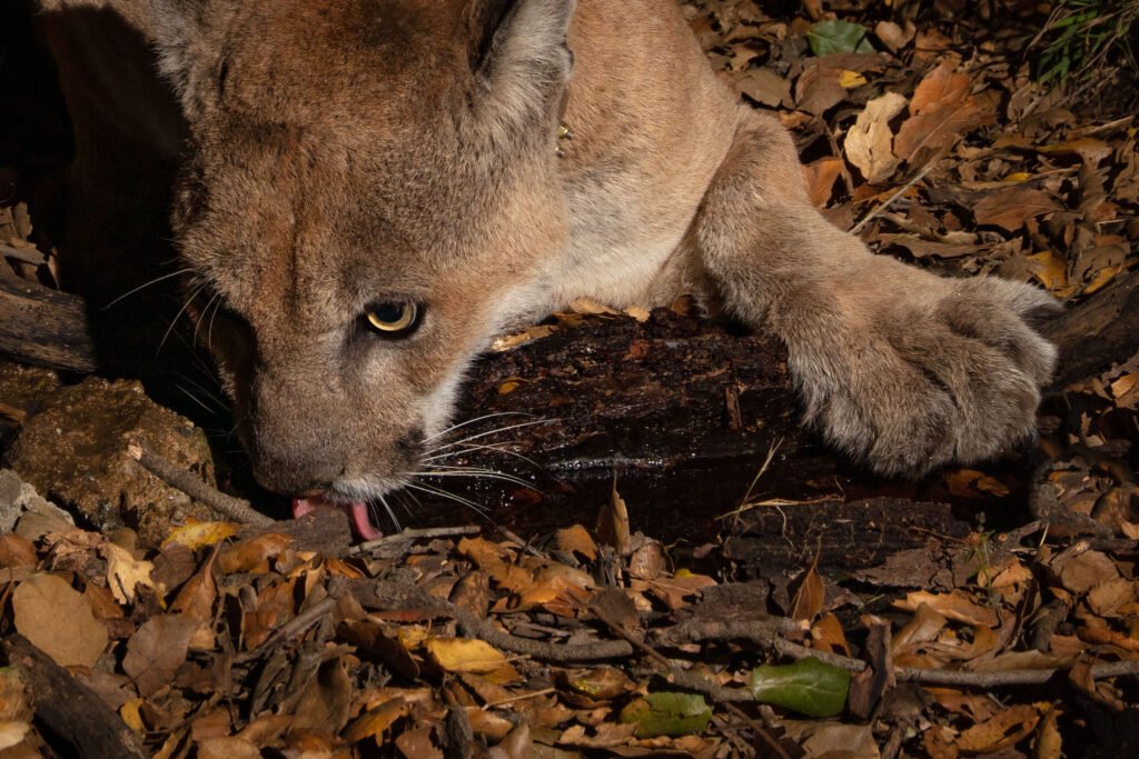 P22 Mar 20-21  2021 026.jpg