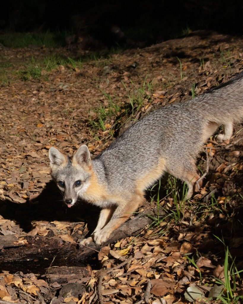 P22 Mar 22-27  2021 020-2.jpg