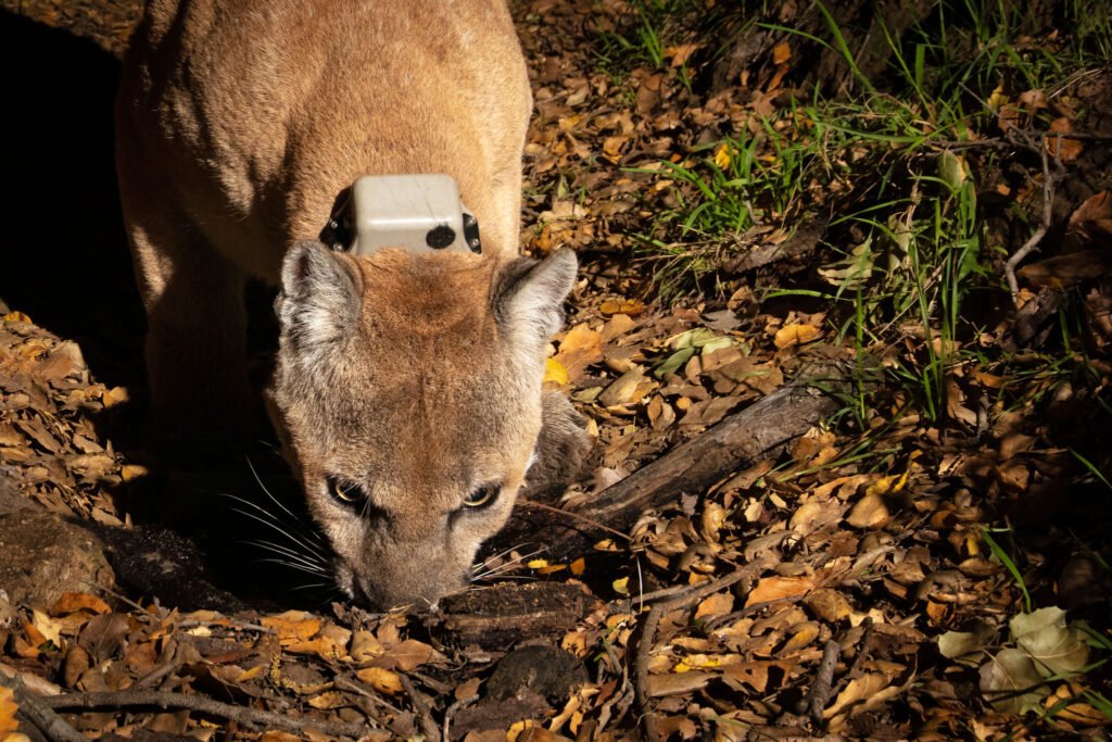 P22 Mar 22-27  2021 022.jpg