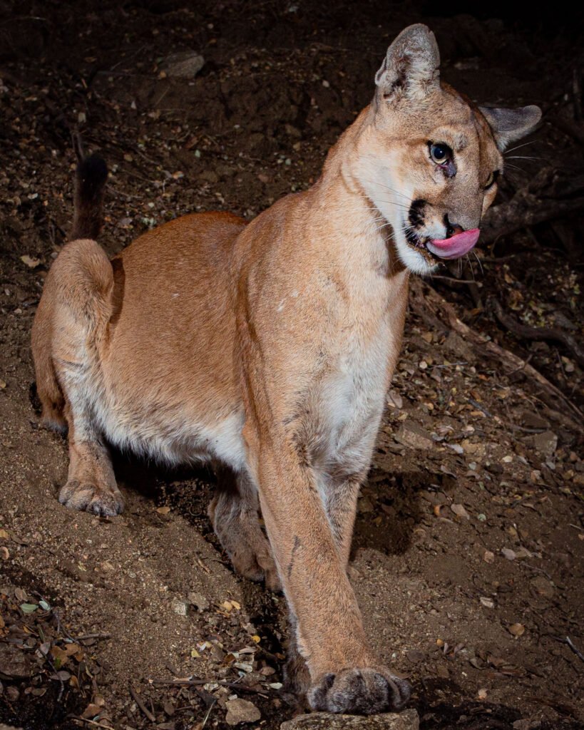 PR Spring July 19-22 Canon 2018 022.jpg