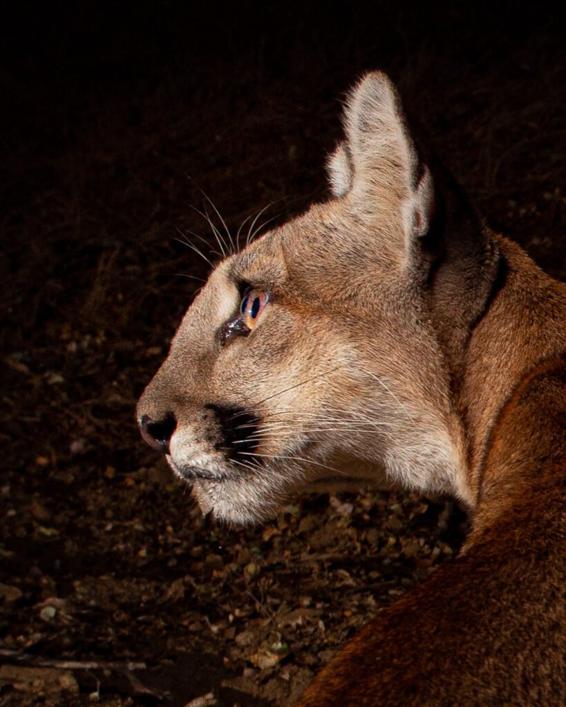 PR Spring July 19-22 Canon 2018 046.jpg