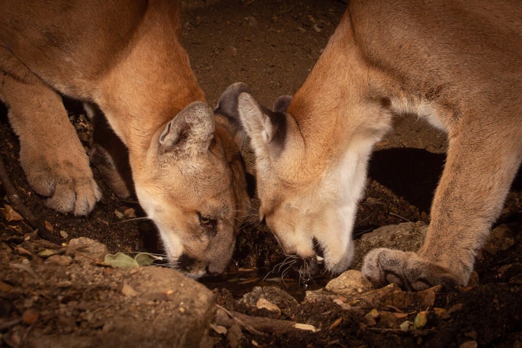 PR Spring July 19-22 Canon 2018 056.jpg