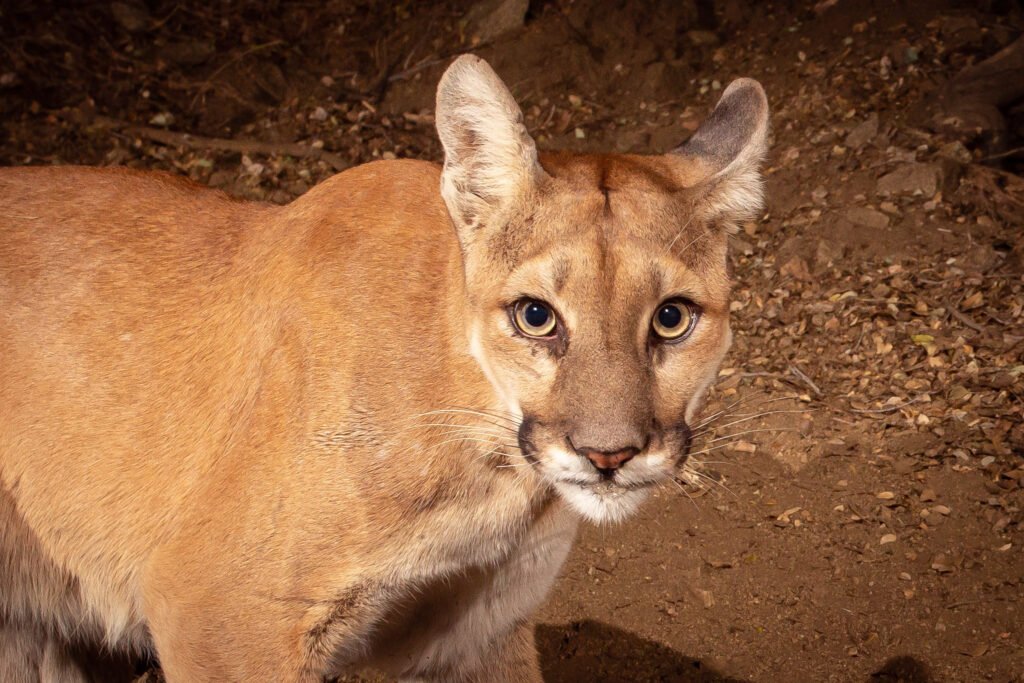 PR Spring July 19-22 Canon 2018 068.jpg