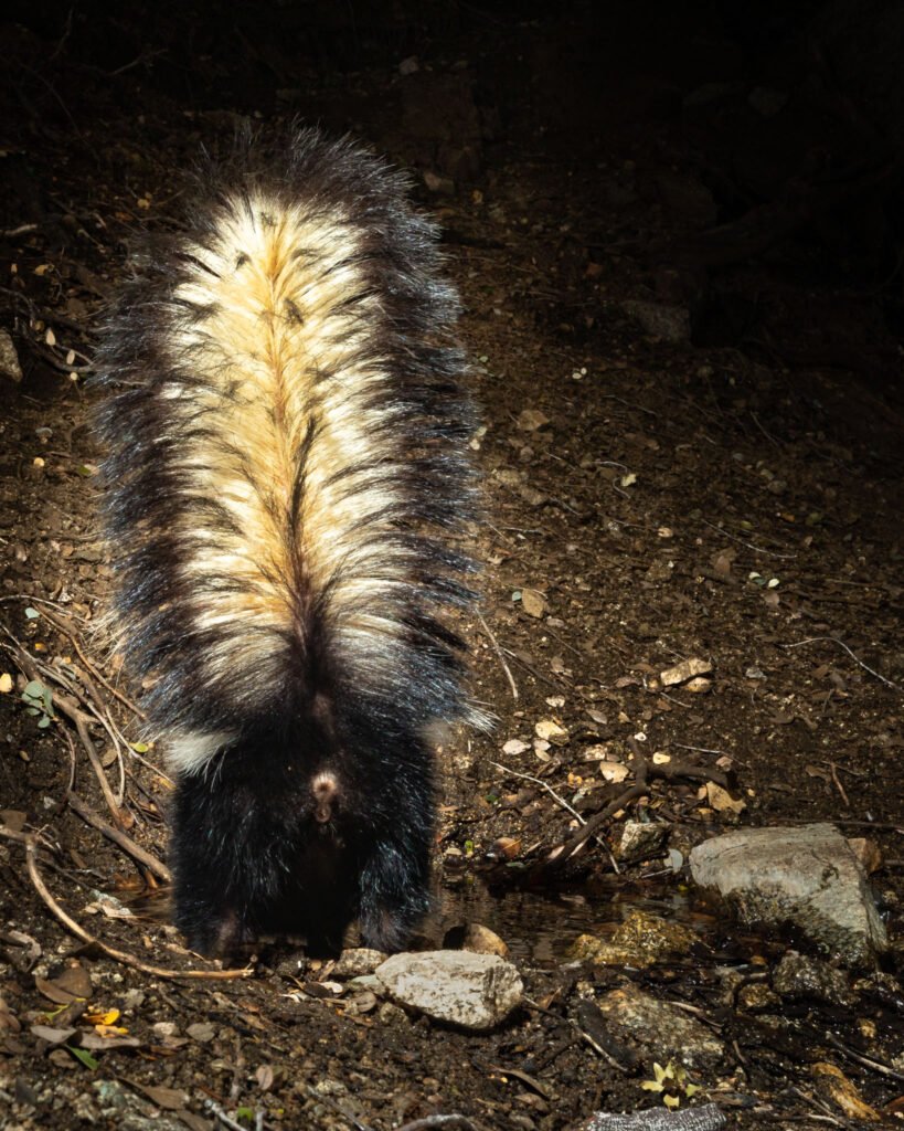 PR Spring MArch 2019-55.jpg