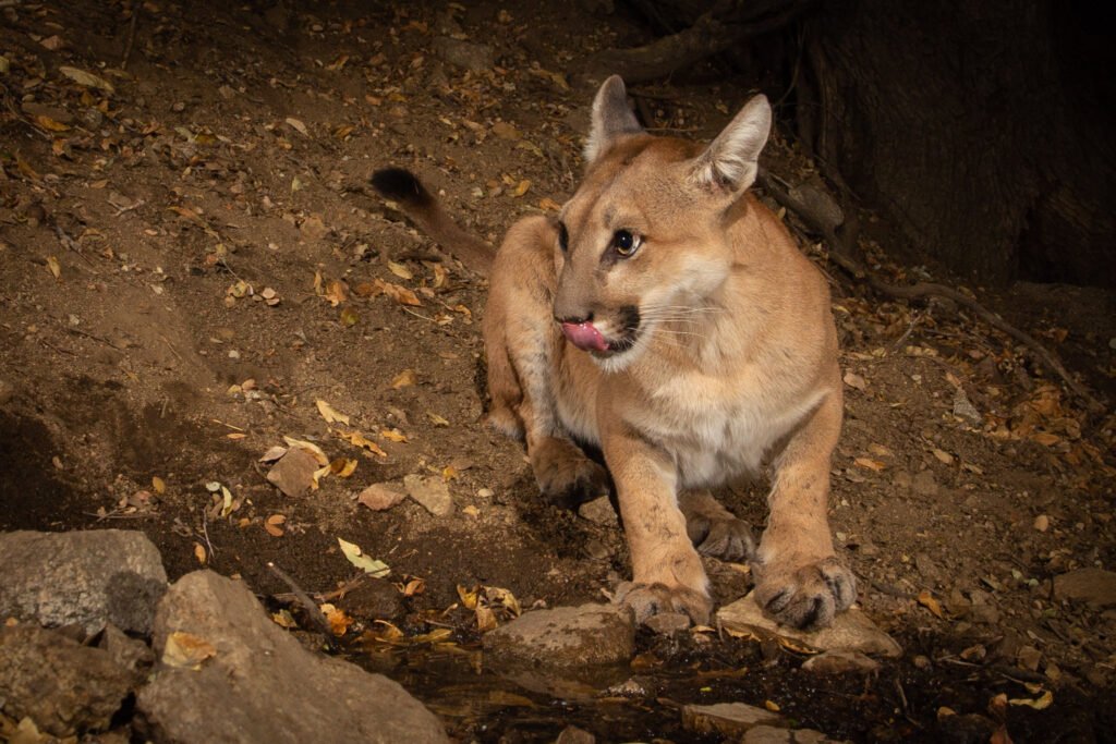 PR Spring Sep-Oct 2018-59.jpg