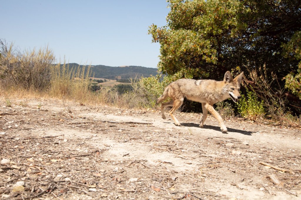 WCC Sep 2025 -3-2.jpg